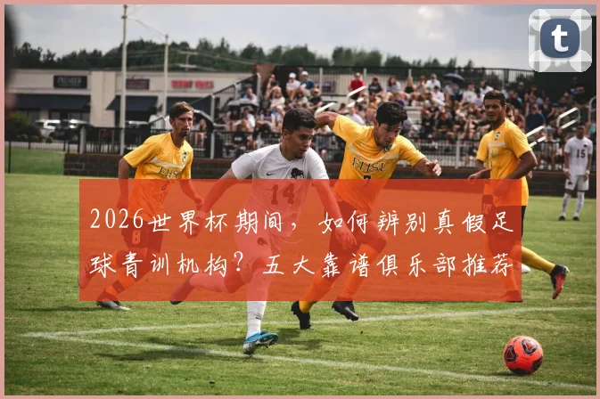 2026世界杯期间,如何辨别真假足球青训机构?五大靠谱俱乐部推荐与报名避坑指南